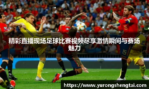 乐鱼电竞app下载