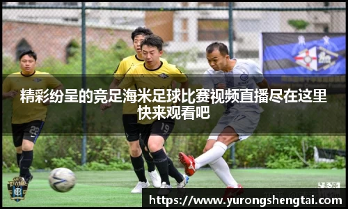 乐鱼电竞
