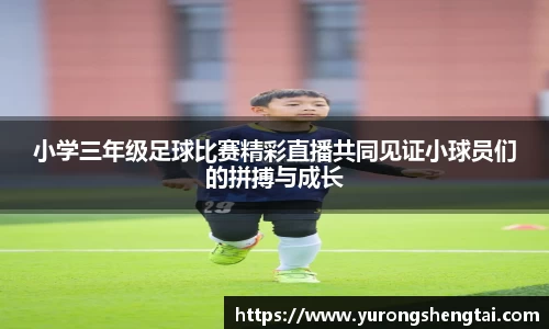 乐鱼电竞