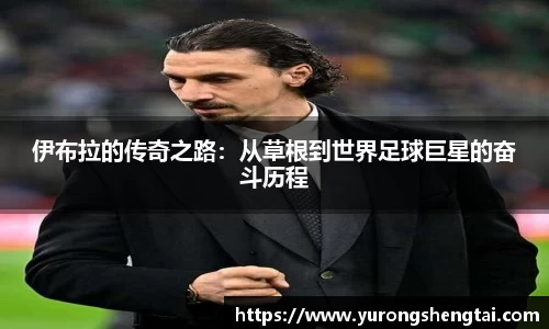 乐鱼电竞app下载